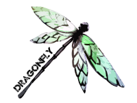 logo znacky piva Dragonfly logo piva Dragonfly