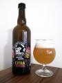 Nachmelena opice - Citra NEIPA 15°, NEIPA (New England IPA) lahev a sklenice