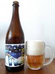 Pioneer beer - UFO 14, Session India Pale Ale lahev a sklenice